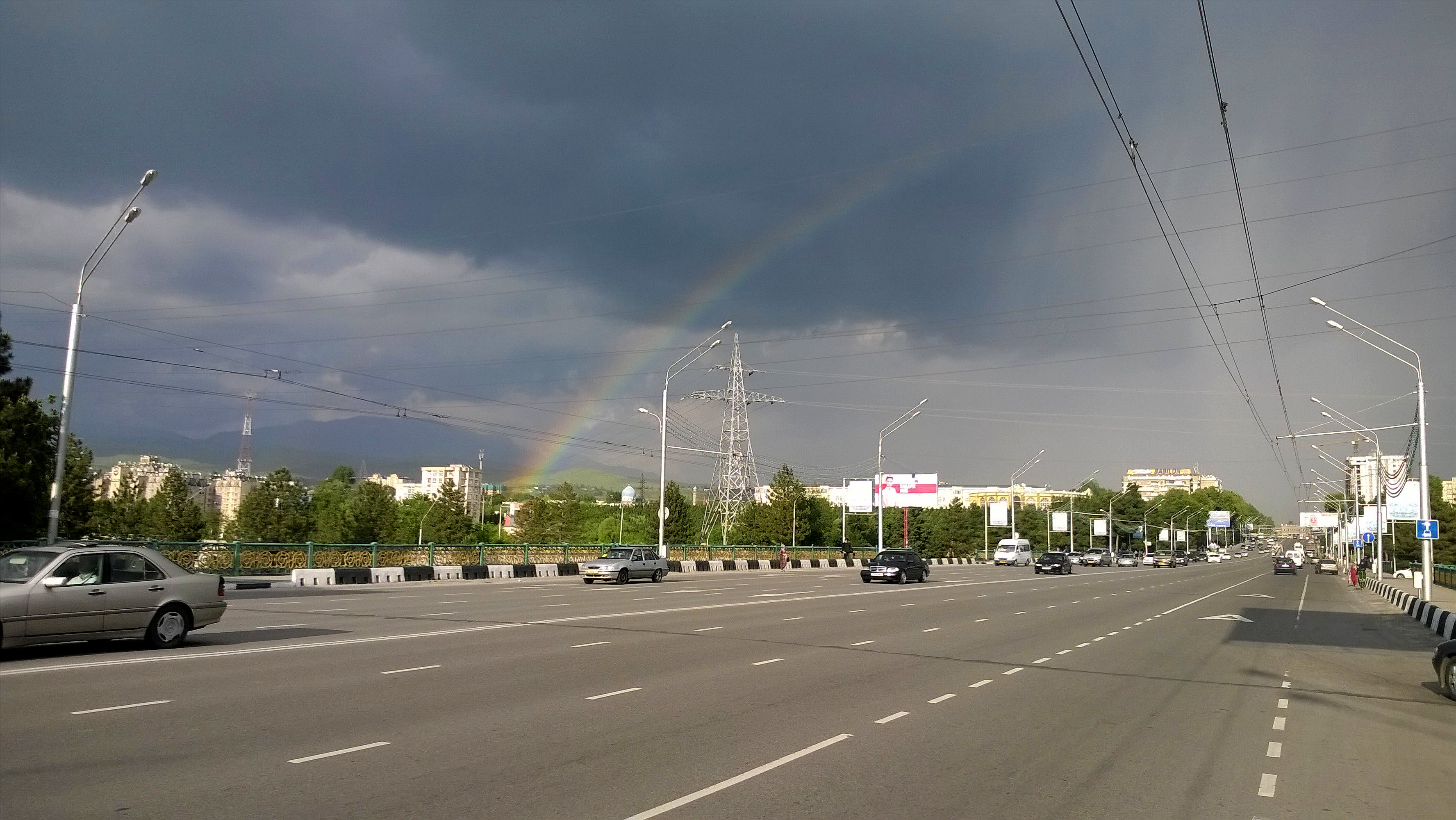 Regenboog